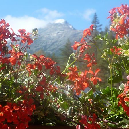 Erika Penzion Високі Татри Екстер'єр фото